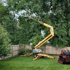 Best Sod Installation  in Petersburg, IN